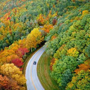 Tình Anh Dành Cho Em