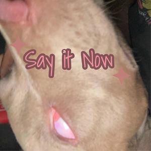 Say It Now (feat. ANTIDOTE!) (Explicit)