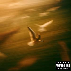 Effortless (Explicit)
