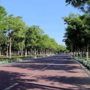 小星闪闪 (Inst.)