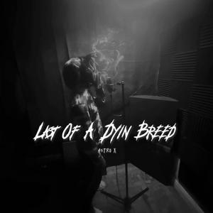 Last Of A Dyin Breed (Explicit)