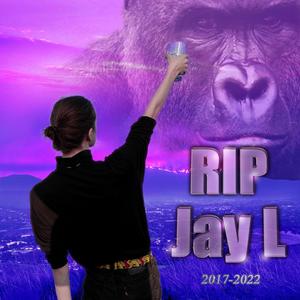 RIP Jay L(feat. Jay L 805) (Explicit)