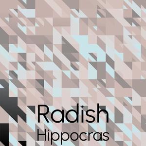 Radish Hippocras