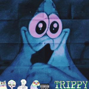 Trippy (feat. Tensei 5) [Explicit]