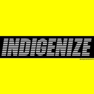 INDIGENIZE THE WORLD (Explicit)