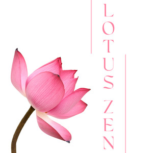 Stillness in the Present Moment