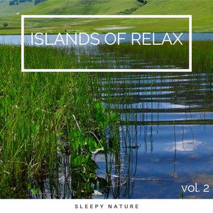 Islands of Natural Voices for Instant Dreams pt. 5(feat. Baltic Nature Sounds, Nature  Rainforest Sounds Collective & Nature Music Nature Songs)