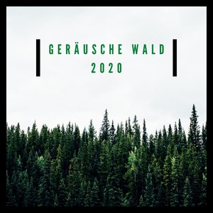 Geräusche Wald 2020