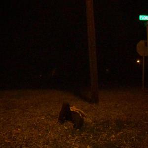 is there anything more? (streetlight sessions)