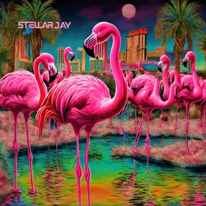 Flamingo Dream