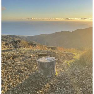 Matthew Lewis - Pack it in