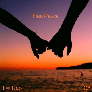 Find Peace (feat. C5) [Explicit]