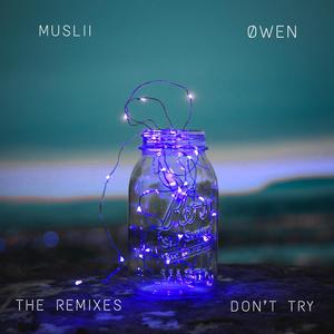 Don't Try (The Remixes)