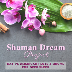 Shaman Dream Project - Native American Flute & Drums for Deep Sleep