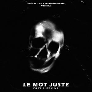 Le Mot Juste (feat. Domus 4 & Ruff C.O.A) [Explicit]