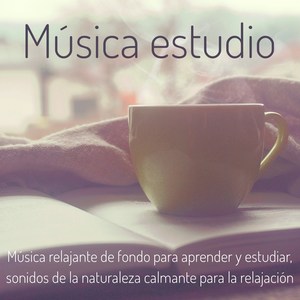 Música estudio – Música relajante de fondo para aprender y estudiar, sonidos de la naturaleza calmante para la relajación