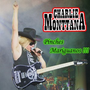 Pinches Mariguanos