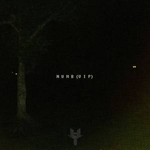 Numb (VIP)
