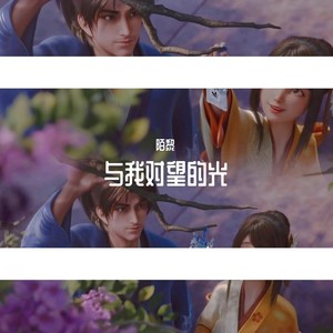 与我对望的光