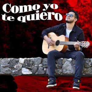 Como Yo Te Quiero