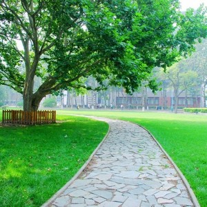 《飞向明天》——南陵萃英园中学校歌