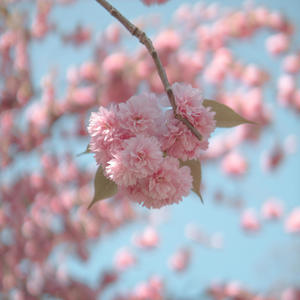 come thru (feat. OKS)