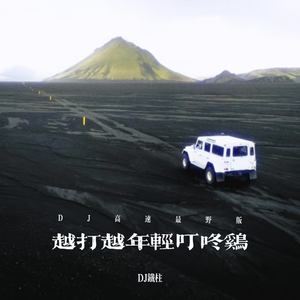 越打越年轻叮咚鸡-DJ铁柱