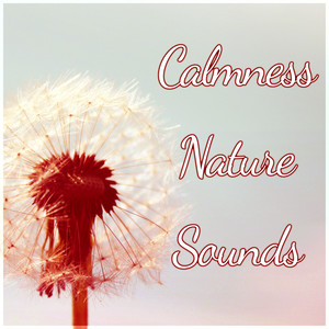 Calmness Nature Sounds - Yin Yoga & Meditation, New Age Peaceful Music, Health and Fitness, Relaxing Sounds for Chakra Balancing, Sleep Relaxation & Focus Deep Meditation