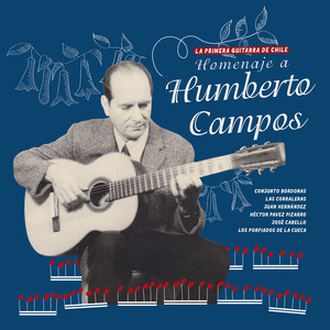 Nostalgias santiagueñas (Live)