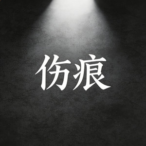 伤痕 (烟嗓走心版)