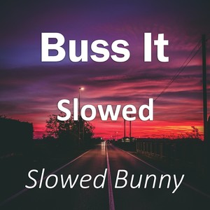 Buss It Slowed (Remix|Explicit)