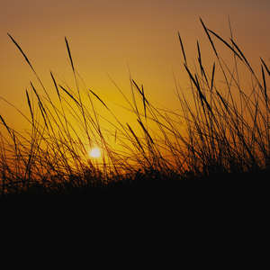 Resplandecer