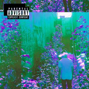 **** Hit The Fan(feat. Lil Beep & PGB Rocci) (Explicit)