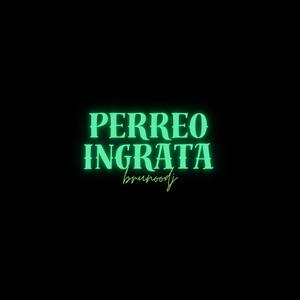 PERREO INGRATA