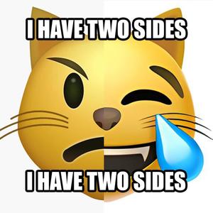 emoji chat qui rigole ≽^•⩊•^≼ (feat. 7sko) (Explicit)
