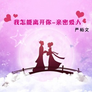 我怎能离开你+亲密爱人