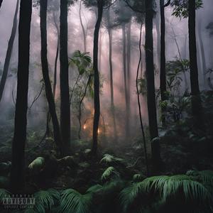 MANY OPTIONS (Explicit)