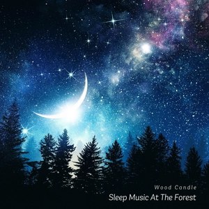 Sleep Music at the Forest