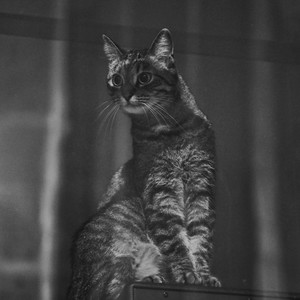 Kalastuslupa (Explicit)