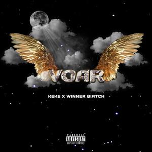 Voar (feat. Winner Biatch) (Explicit)