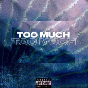 Too Much (Explicit)