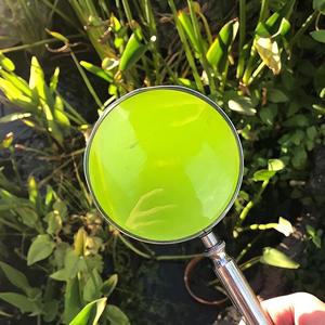 Feathers (feat. MOTHWAGON)