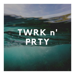 Twrk N Prty