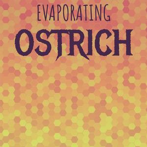 Evaporating Ostrich
