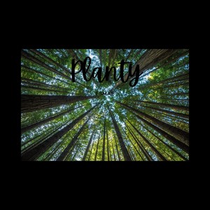 Planty