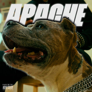 APACHE (Explicit)