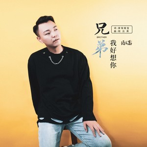 兄弟 我好想你