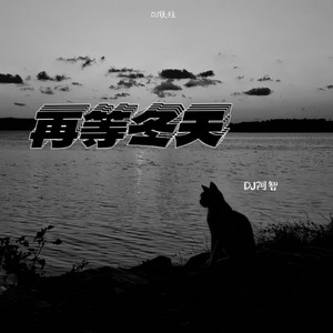 再等冬天 (DJ阿智)