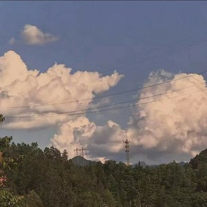 你的