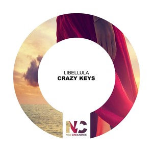 Crazy Keys (Nu Ground Foundation Classic Mix)